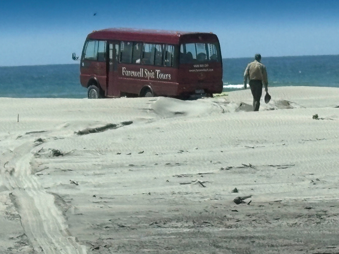 Farewell Spit Eco Tours-Collingwood必去景点