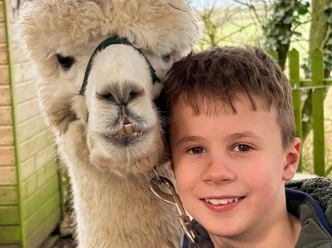 Hilly Ridge Alpacas-Wattisham必去景点