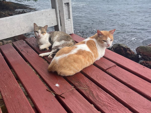 克鲁索旅馆主图