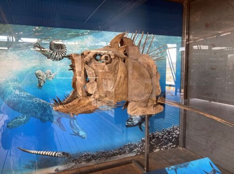 Big Bend National Park - Fossil Bone Exhibit-大弯国家公园必去景点