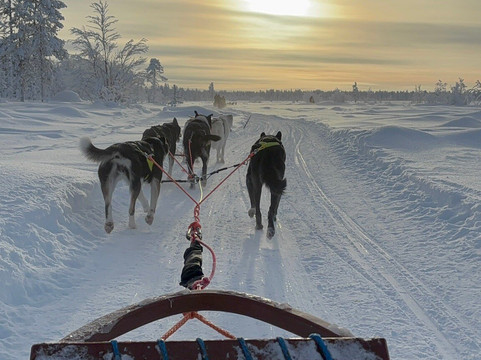 Hetta Huskies-Enontekiö必去景点