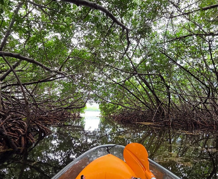 EcoFiwi Turismo Ecologico-圣安德烈斯必去景点