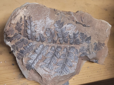 Stori Brymbo-雷克瑟姆必去景点