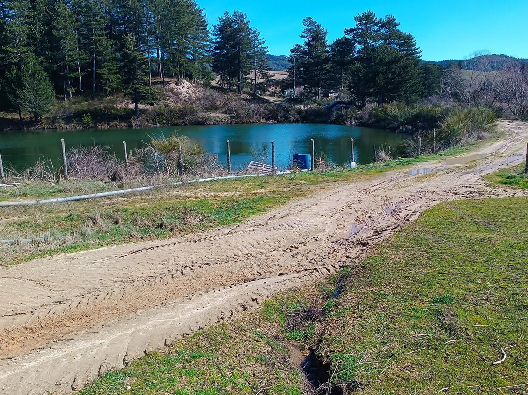 Agriturismo BioSila主图