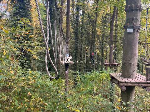 Waldseilpark Karlsruhe-卡尔斯鲁厄必去景点