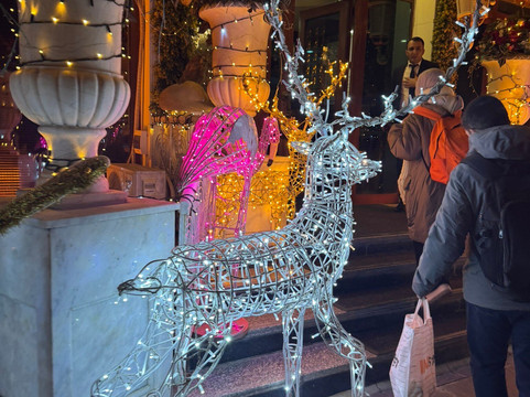 安妮大酒店主图