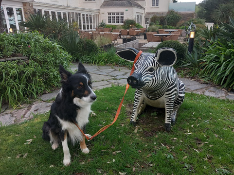 塔兰德海湾酒店主图