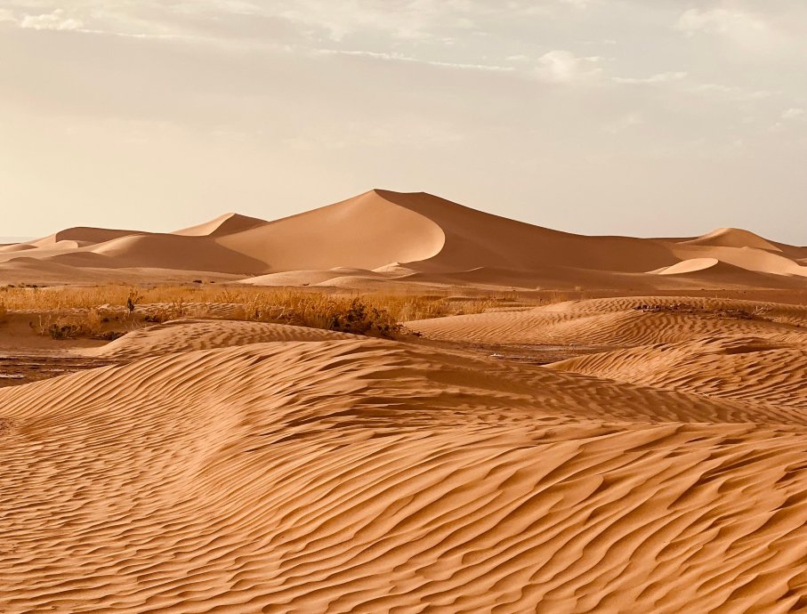 Riad Fennec Sahara-官方