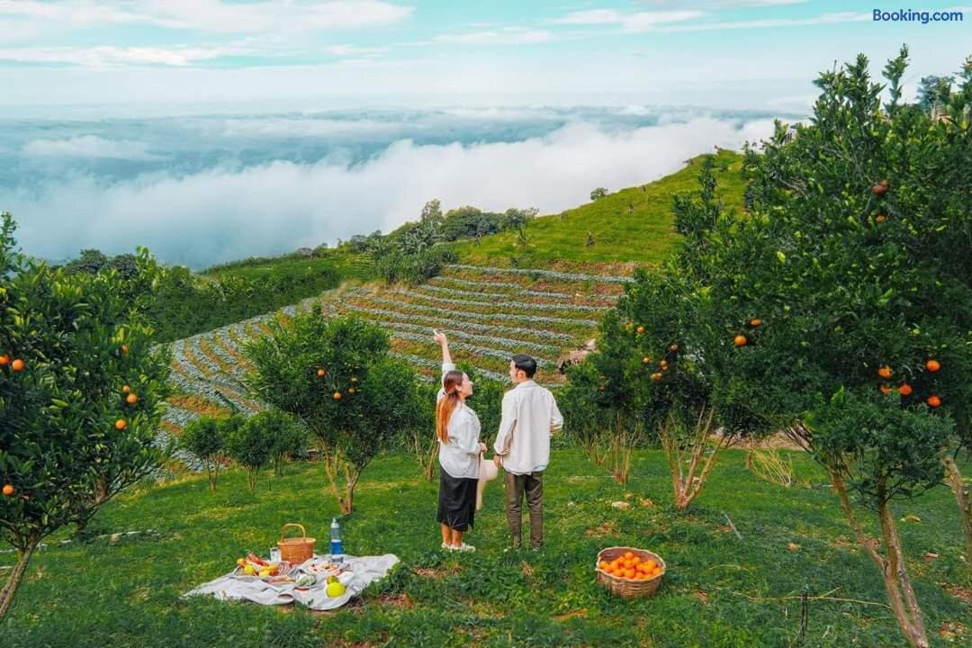 Phu Saeng Thian Homestay