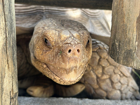 Zoo World Zoological Park-巴拿马城海滩必去景点