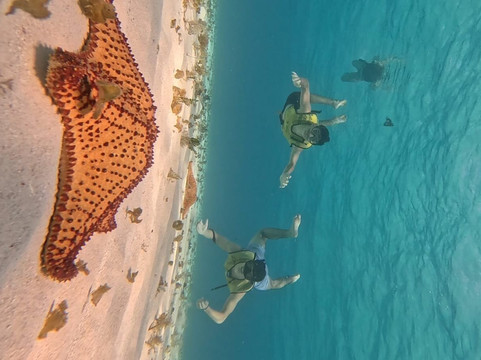 Playa El Cielo Cozumel-考祖梅必去景点