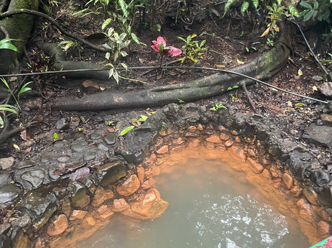 Termales del Bosque Hot Springs-San Rafaeillo必去景点
