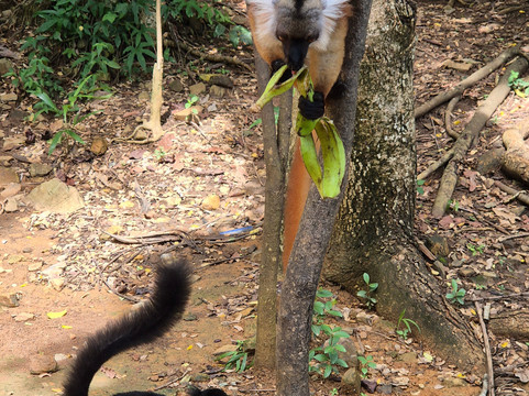 MadaDays-诺西贝必去景点