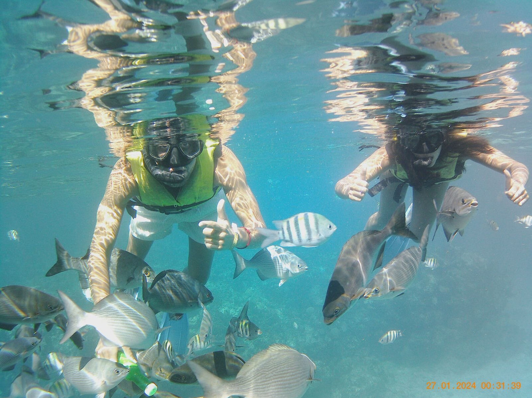 Snorkeling Tour Varadero-巴拉德罗必去景点