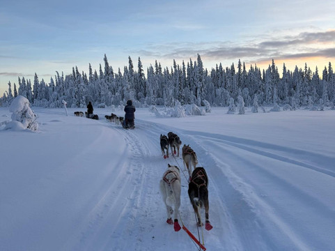 Petter Karlsson Sleddogs-Slussfors必去景点