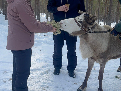 Idre Fjallens Snoskoteruthyrning-Idre必去景点