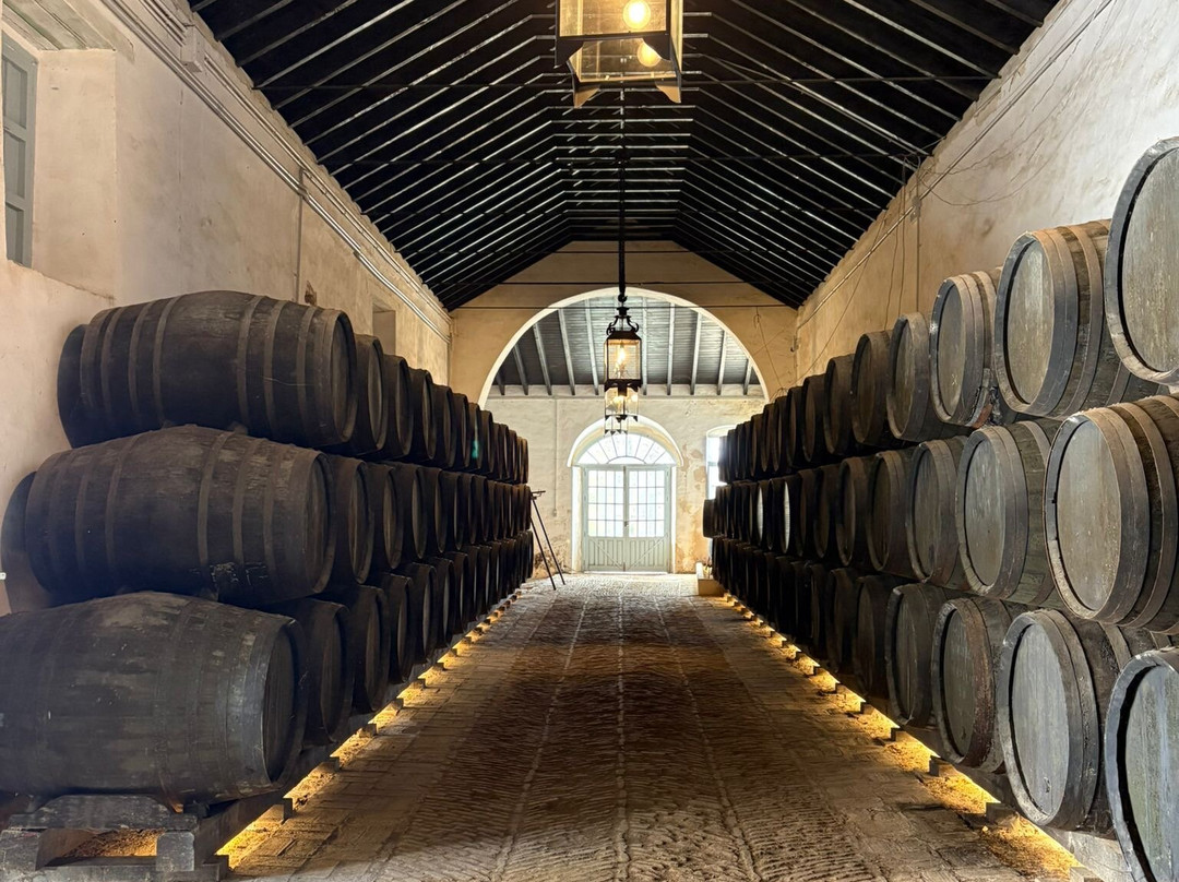 Bodegas Góngora-Villanueva del Ariscal必去景点