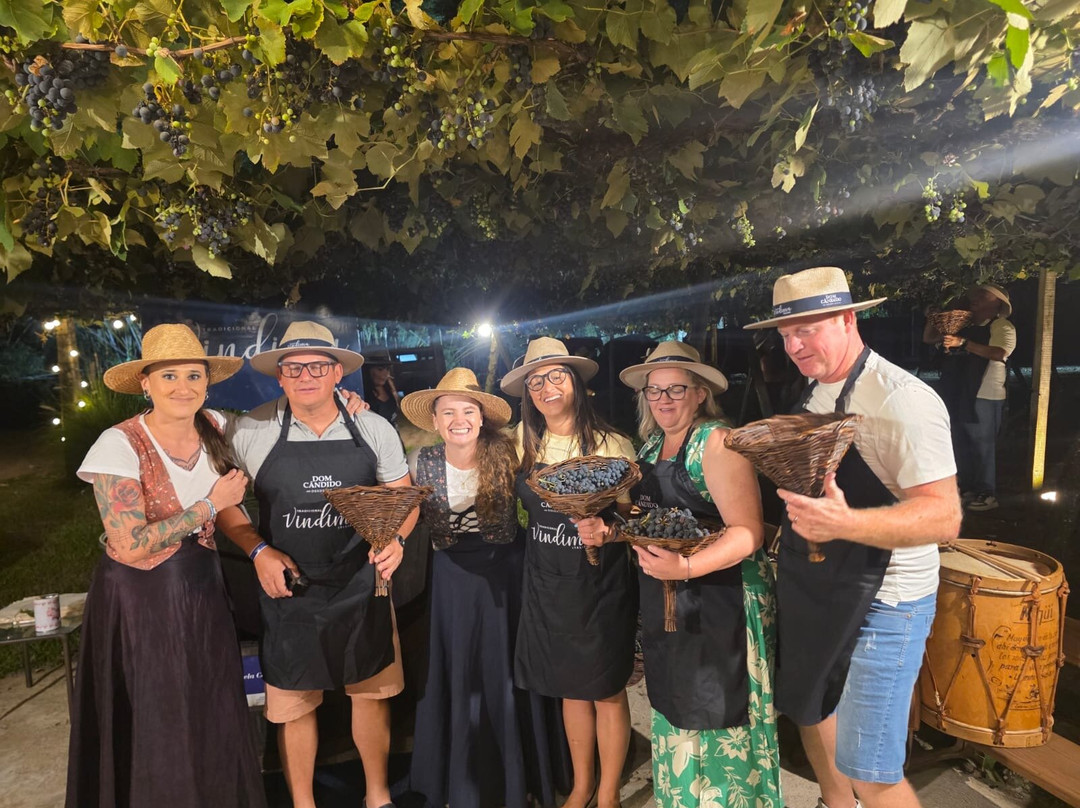 Vinicola Dom Cândido-本图贡萨尔维斯必去景点