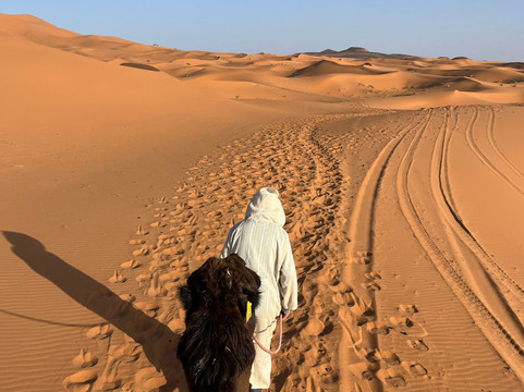 Viajaremos Marruecos- Day Tours-Midelt必去景点