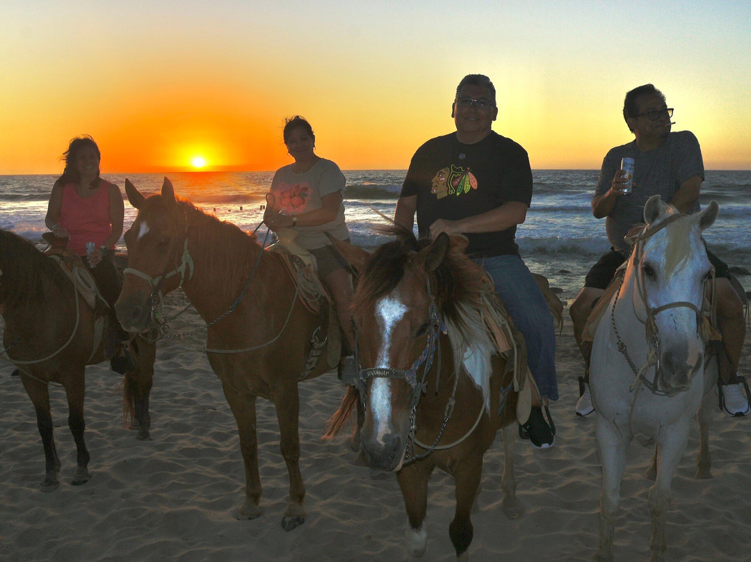 Vista Paraiso - Day Tours and Activities-Higuera Blanca必去景点