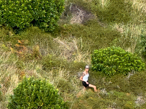 Fergs Kayaks Auckland-奥克兰中心地区必去景点
