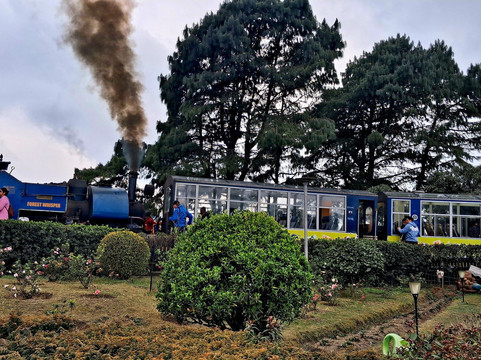 Batasia Loop-大吉岭必去景点