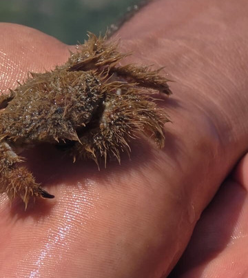 Narara Marine National Park-Devbhumi Dwarka District必去景点