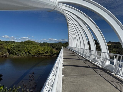 Te Rewa Rewa Bridge-新普利默斯必去景点