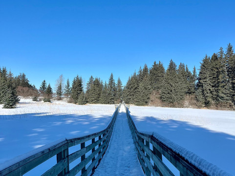 Seldovia Nature Tours-Seldovia必去景点