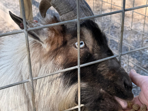 弗吉尼亚游猎公园-天然桥必去景点