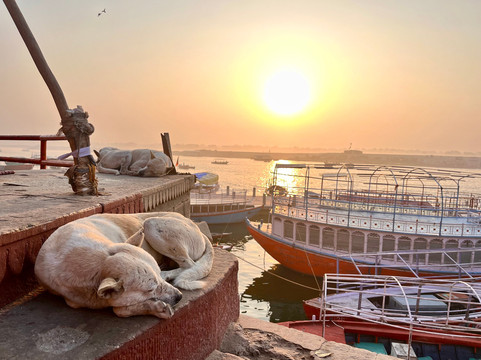 Hidden Treasures of India-斋蒲尔必去景点