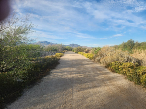 Tres Rios Wetlands-凤凰城必去景点