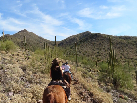 Cave Creek Trail Rides-洞溪必去景点