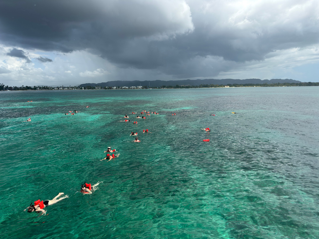 Waves Tours Jamaica-内格里尔必去景点