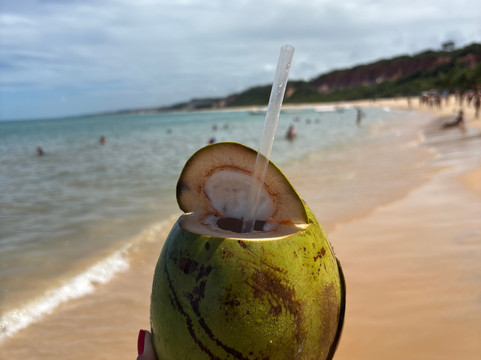 Pitinga Beach-Arraial d'Ajuda必去景点