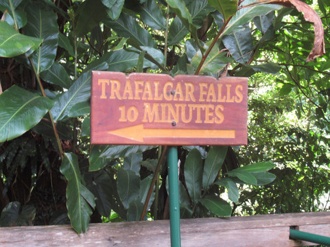 Trafalgar Falls-Morne Trois Pitons National Park必去景点