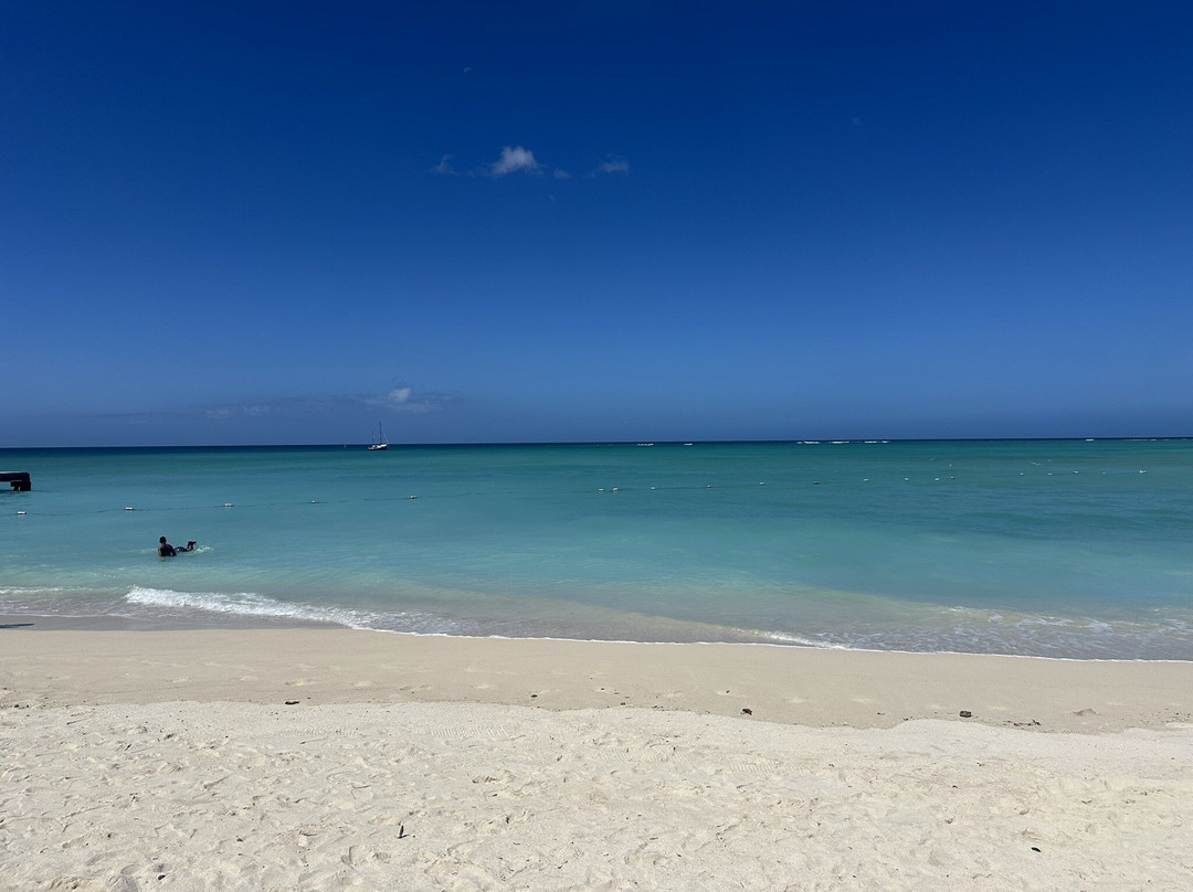 牧羊人旅馆主图