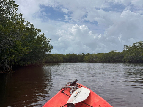 约翰潘纳坎谱珊瑚州立公园-拉哥岛必去景点