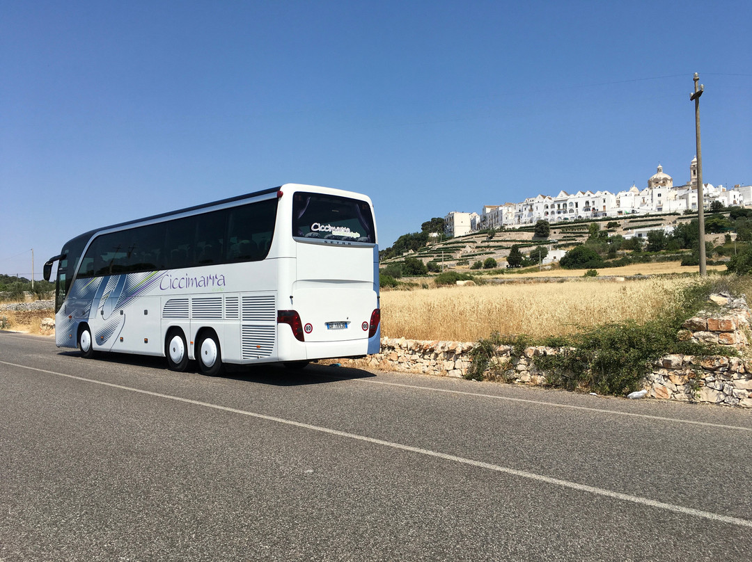 Tour tra le due Terre- Puglia e Basilicata-Cisternino必去景点