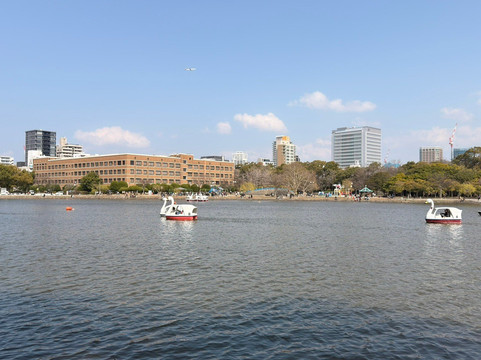 舞鹤公园-Chuo必去景点