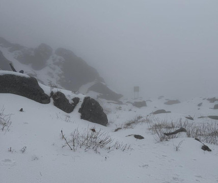 Ease Tours & Treks-甘托克必去景点