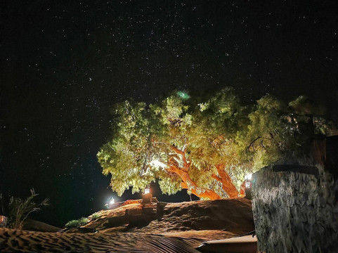 Desert Maroc Tours - Day Tours-扎古拉必去景点