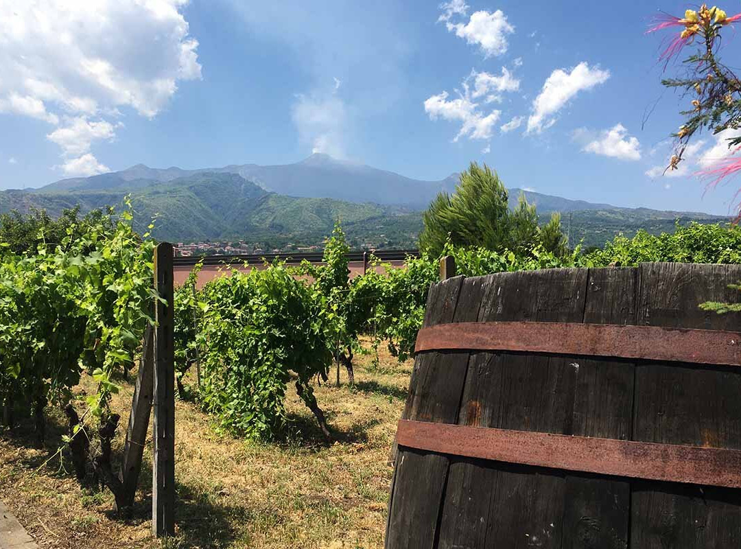 Walk in Nature-Trecastagni必去景点