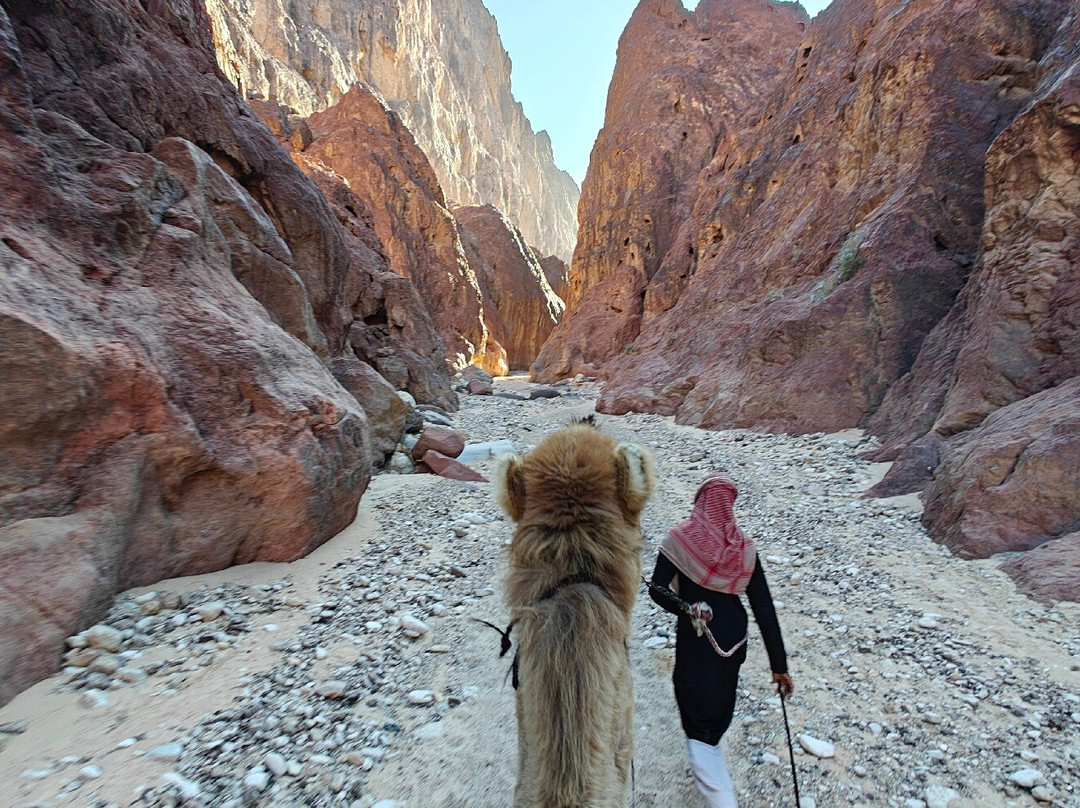 Jordan Trail Guide-佩特拉必去景点