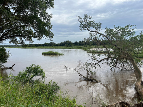 Nkuhlu Picnic Site-克鲁格国家公园必去景点