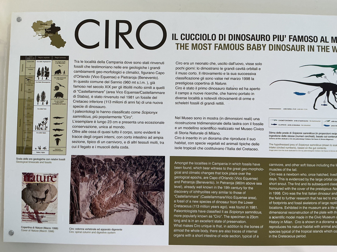 Museo Mineralogico Campano-维克艾库塞必去景点