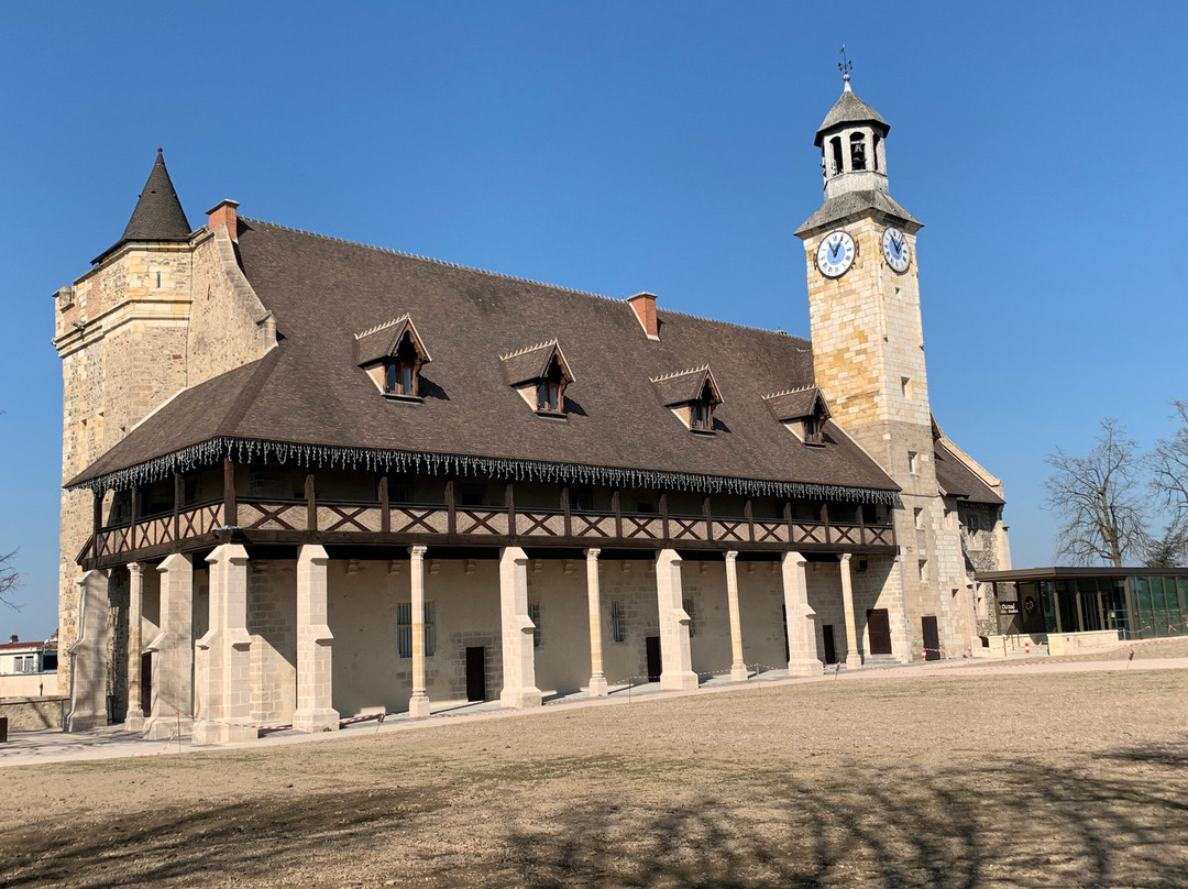 Château des Ducs de Bourbon-蒙吕松必去景点