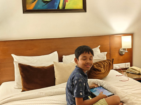 斯塔普拉万寿菊酒店主图