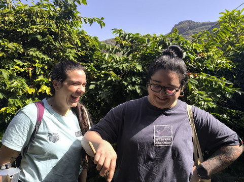 Cafe Platinium-Agaete必去景点