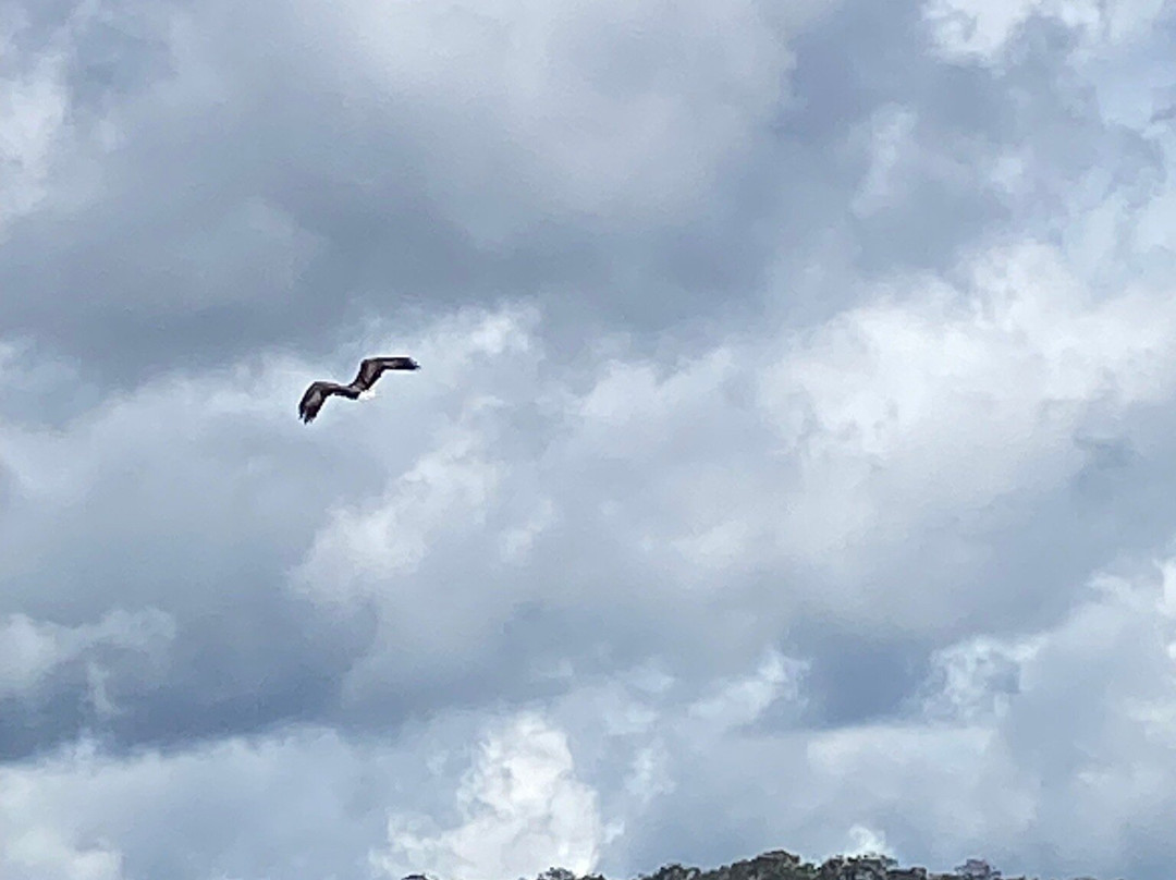 霍克斯贝里河河船邮差-Brooklyn必去景点